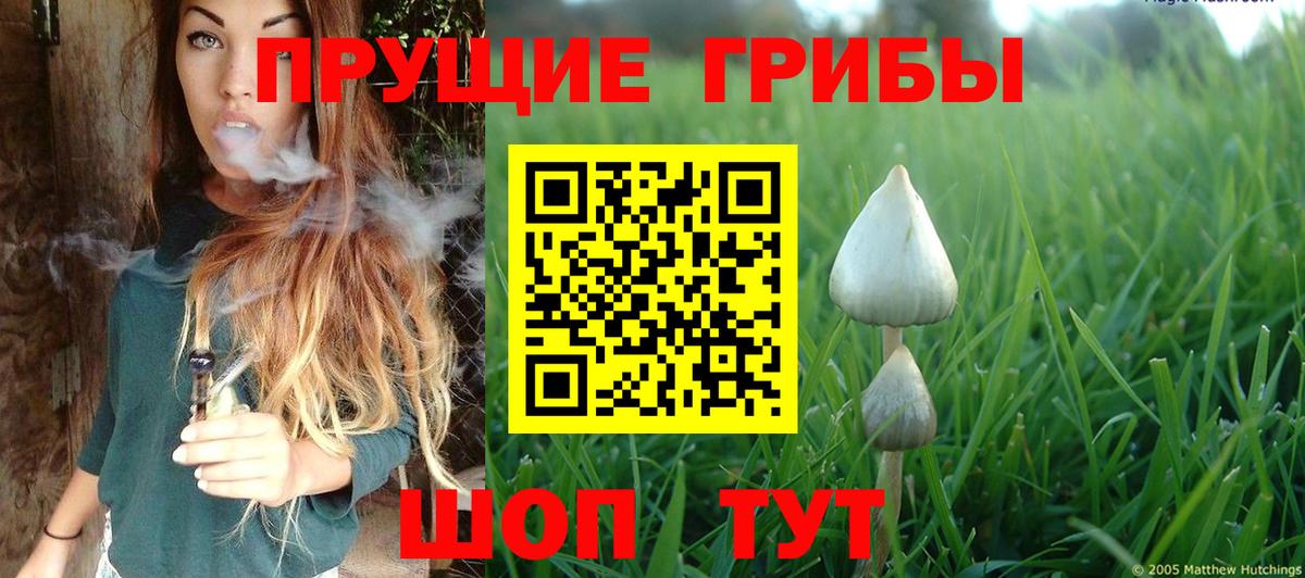 Псилоцибиновые грибы GOLDEN TEACHER  Вход с VPN  Кострома 